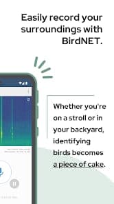 BirdNET screenshot 3