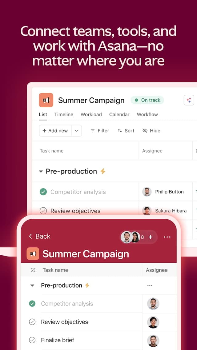 Asana screenshot 1