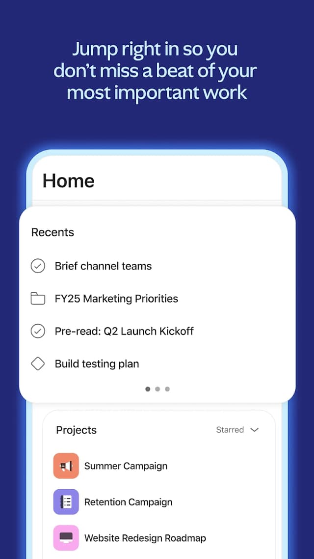 Asana screenshot 2