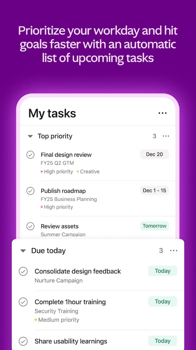 Asana screenshot 4