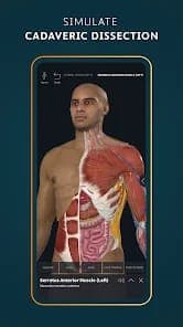 Complete Anatomy screenshot 2