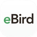 eBird