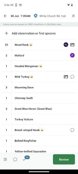 eBird screenshot 2