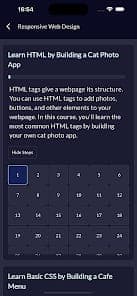 FreeCodeCamp screenshot 4