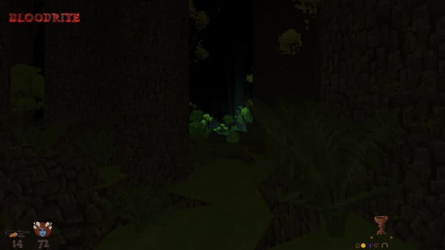 Hedon Bloodrite screenshot 3