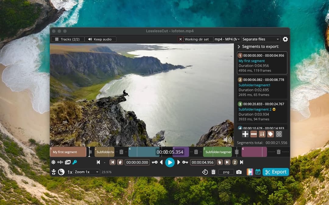 LosslessCut screenshot 1