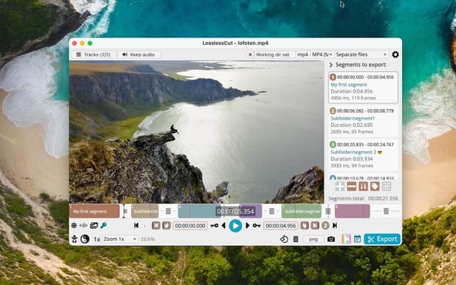 LosslessCut screenshot 2