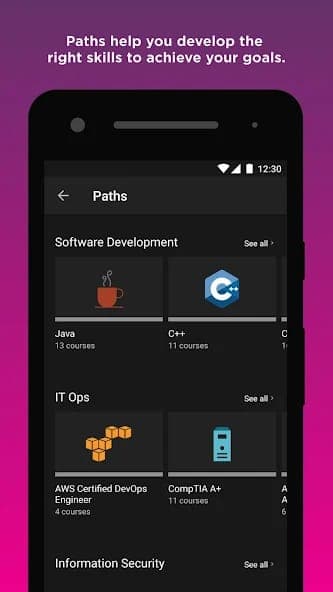 Pluralsight screenshot 4