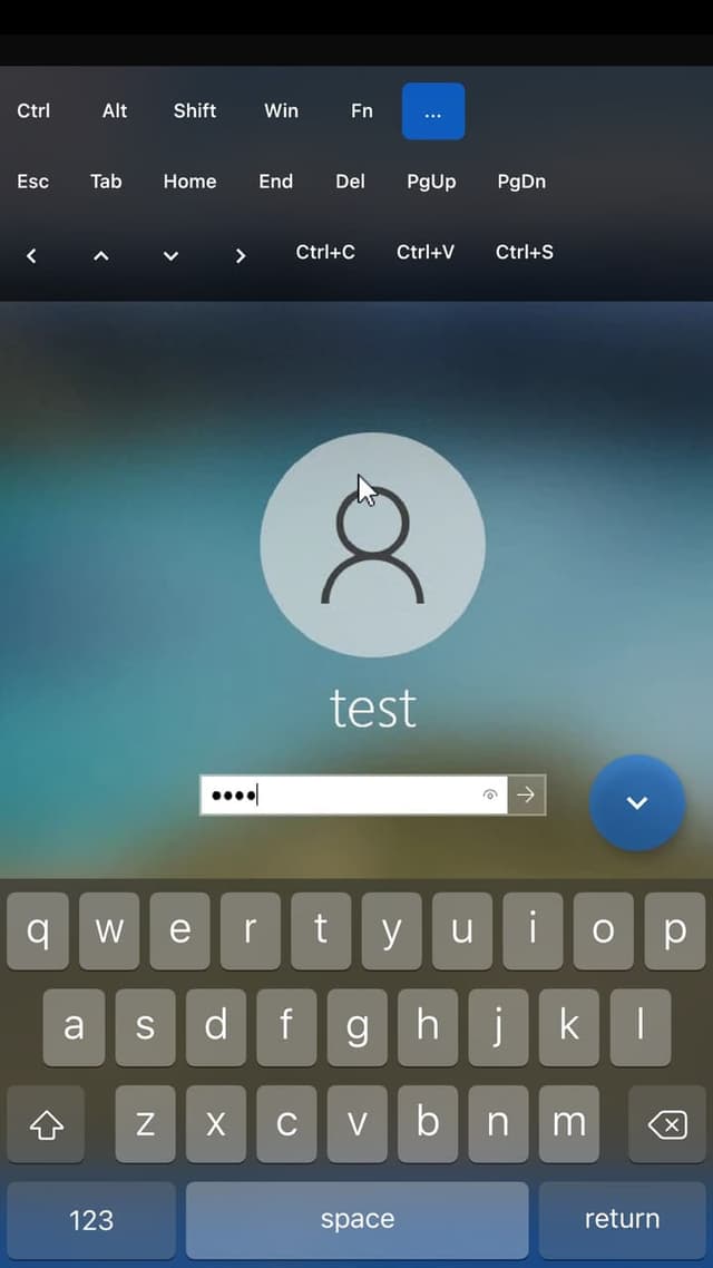 RustDesk screenshot 2