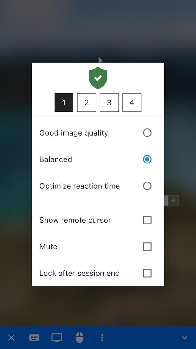 RustDesk screenshot 3