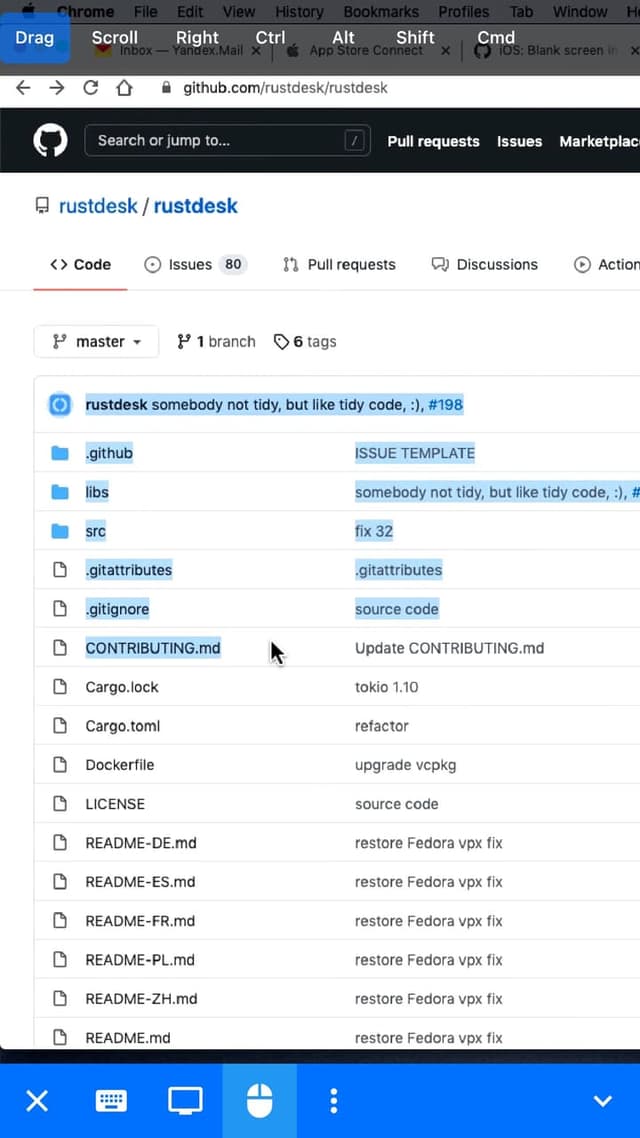RustDesk screenshot 4