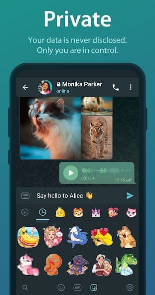 Telegram Messenger screenshot 4