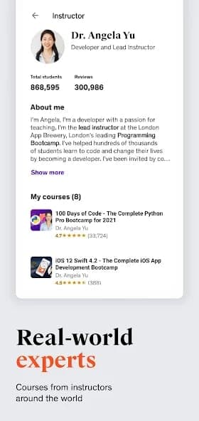 Udemy screenshot 2