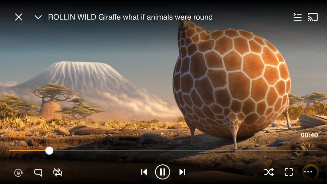 VLC Media Player screenshot 1
