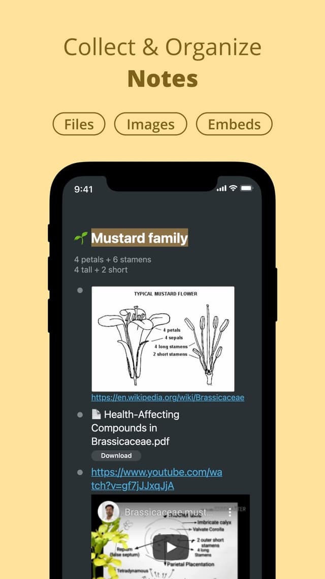 Workflowy screenshot 1