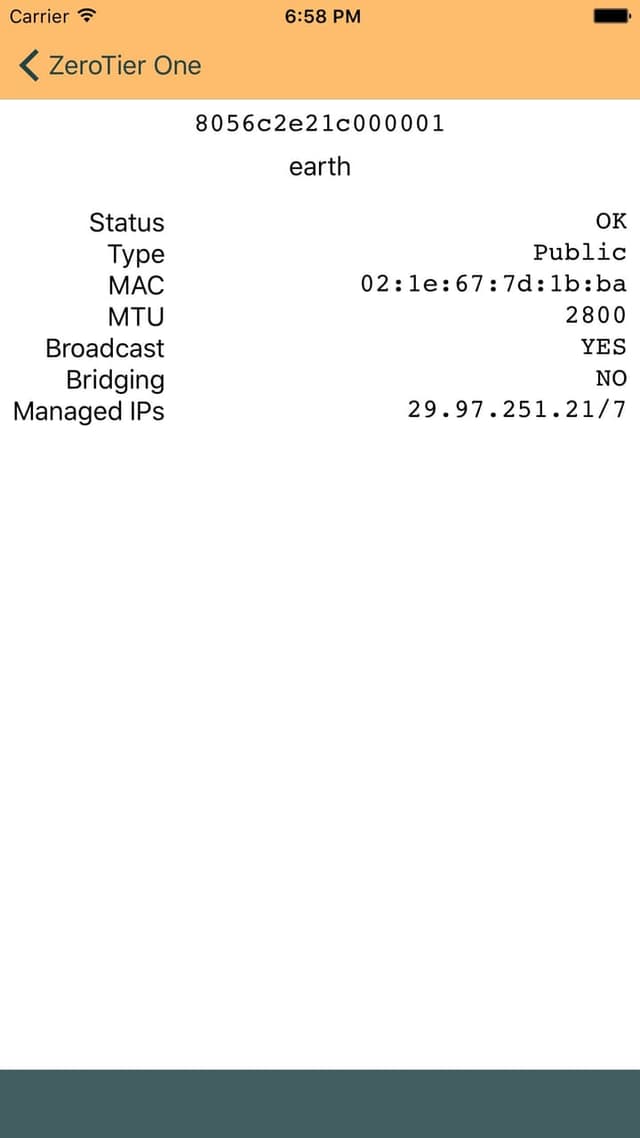 ZeroTier screenshot 2