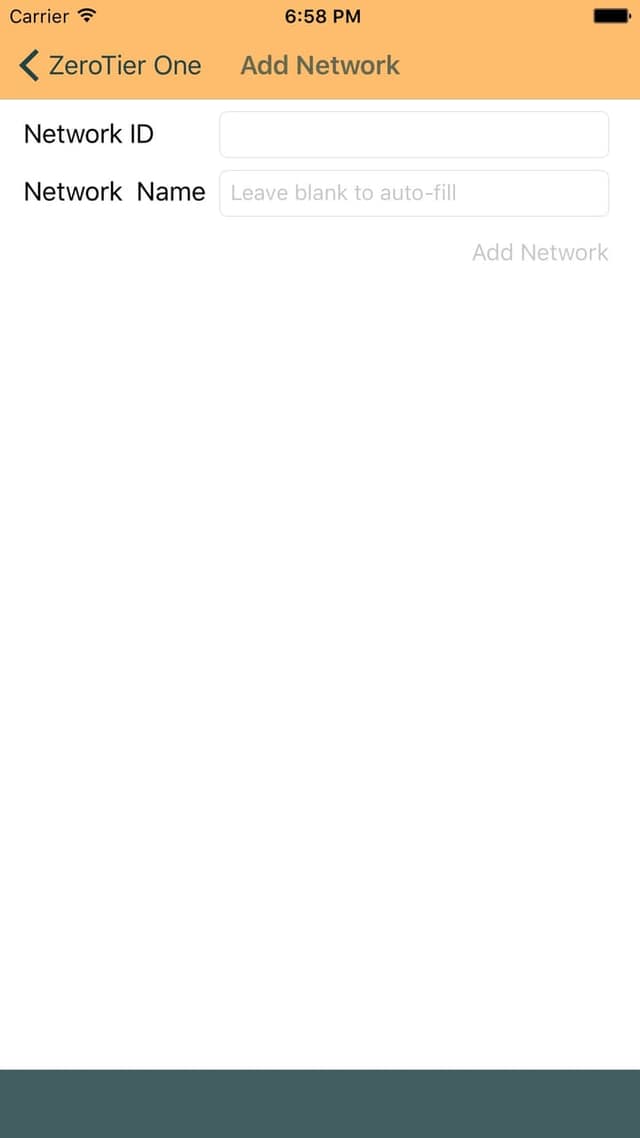 ZeroTier screenshot 3